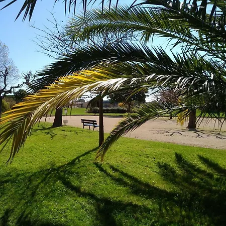 Neuf Cannes Marina Jardin&piscine Privée *